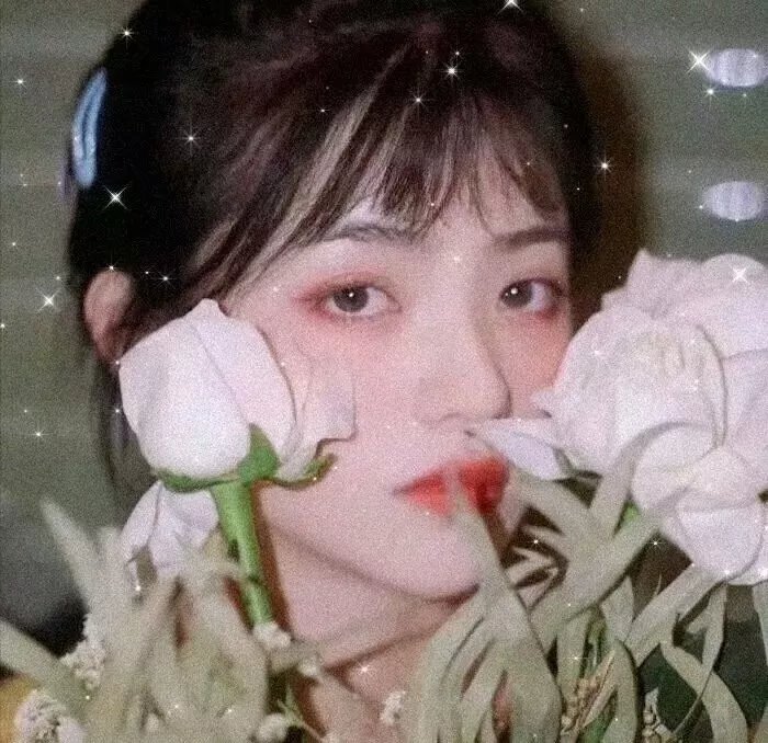 经典电影回顾